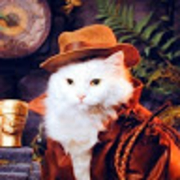 Meet your Posher, Whatjd - Picture 1 of 1